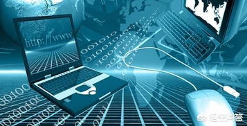 人工智能應(yīng)用軟件開(kāi)發(fā) 通往AI與物聯(lián)網(wǎng)行業(yè)的專(zhuān)業(yè)路徑