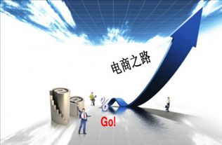 從運(yùn)營(yíng)專家到教育引路人 圖零科技白楊的網(wǎng)絡(luò)技術(shù)教育之路